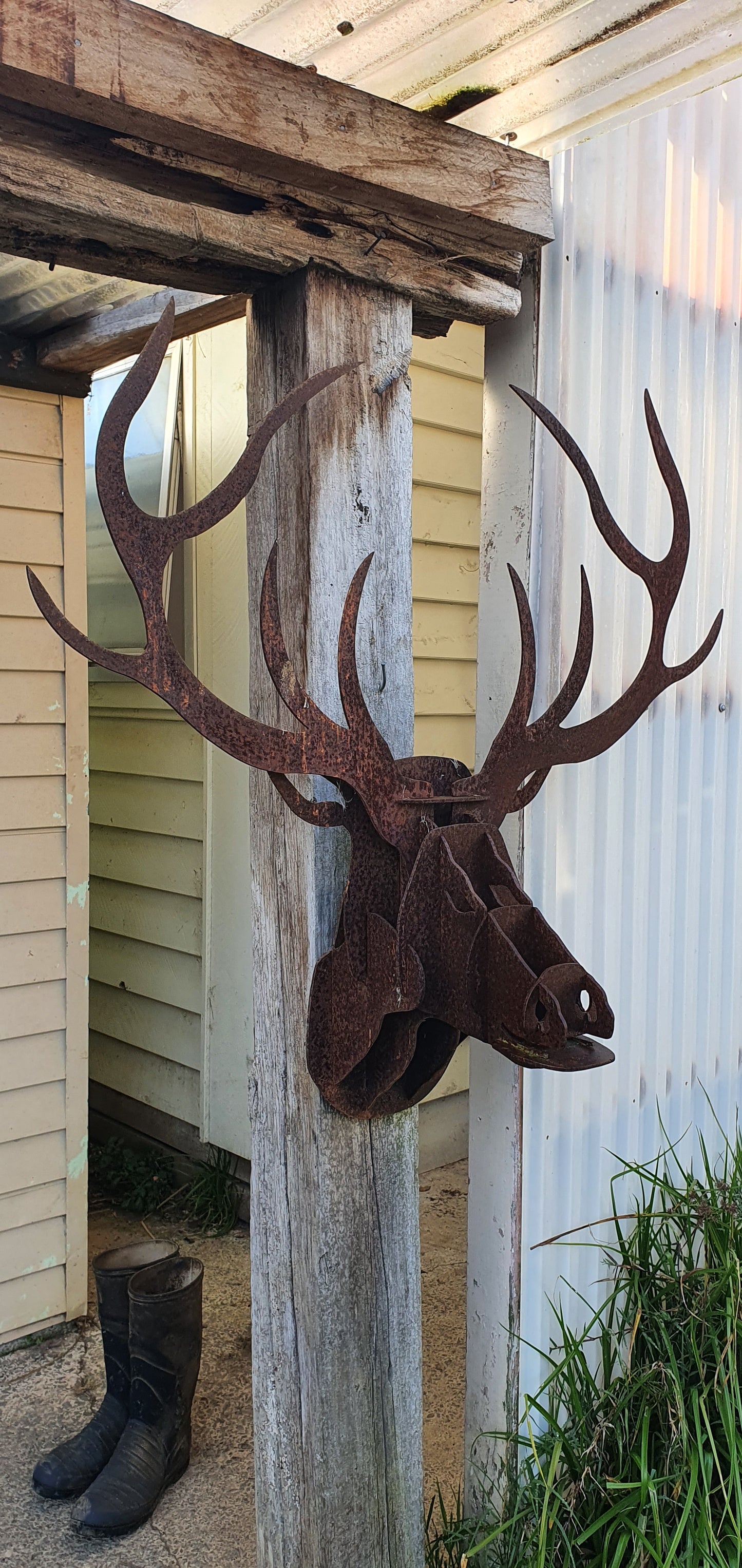 Stag Head