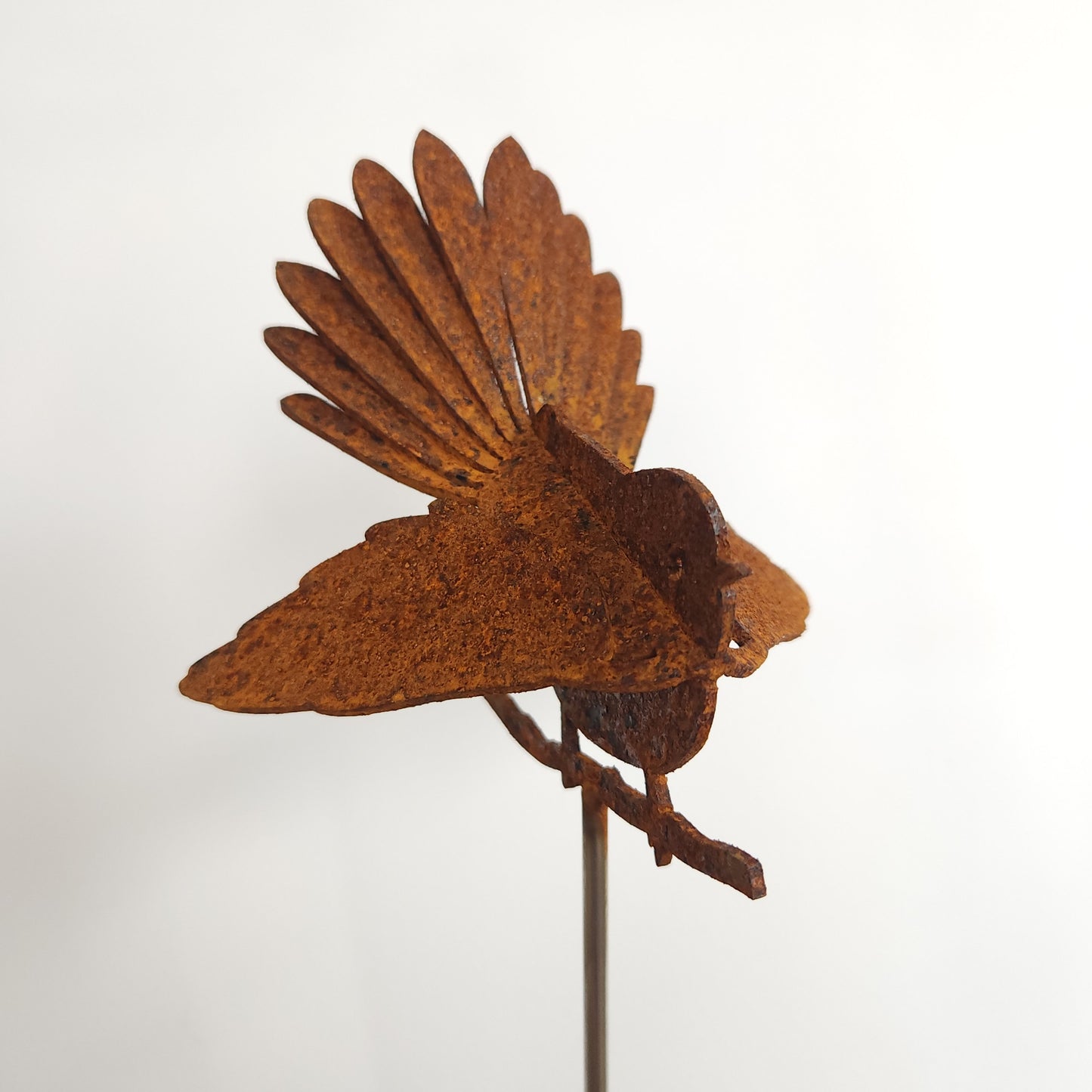 Fantail