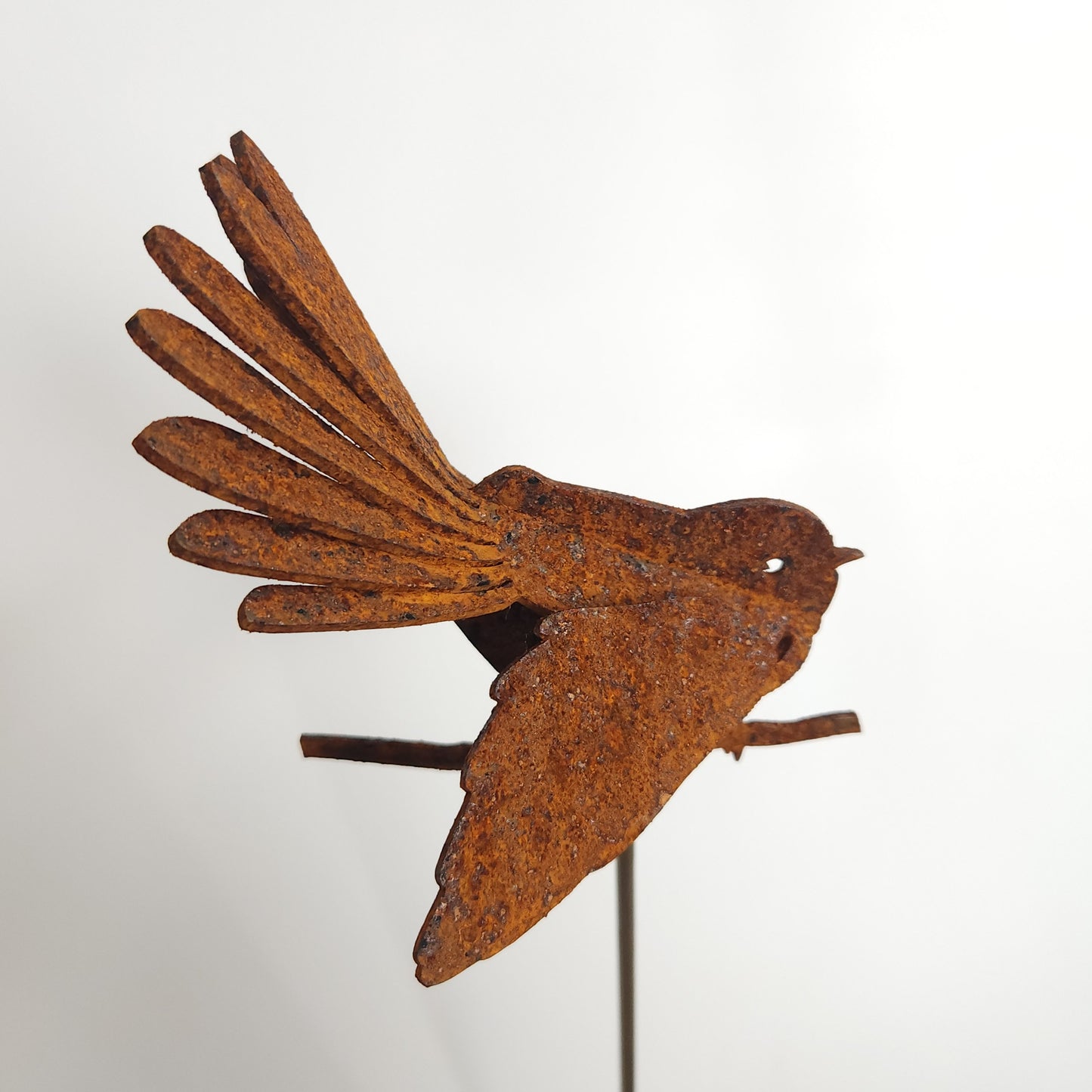 Fantail