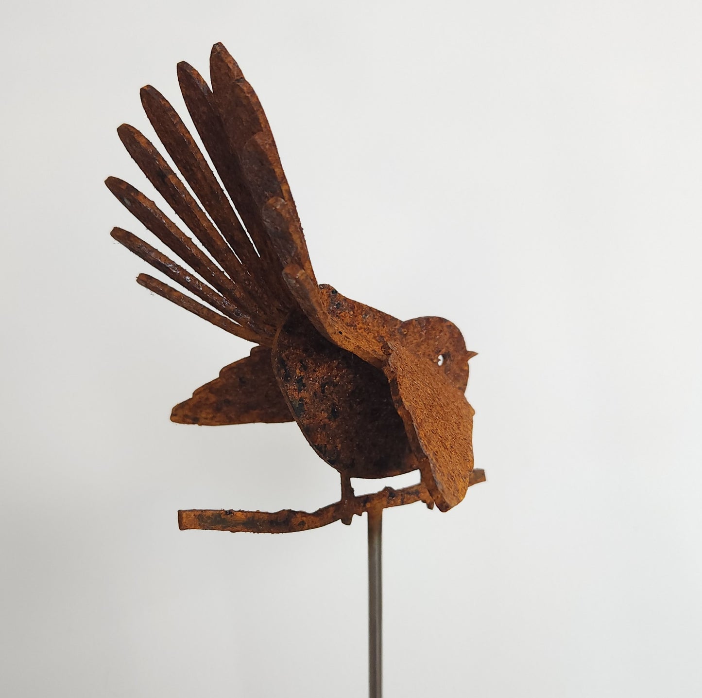 Fantail