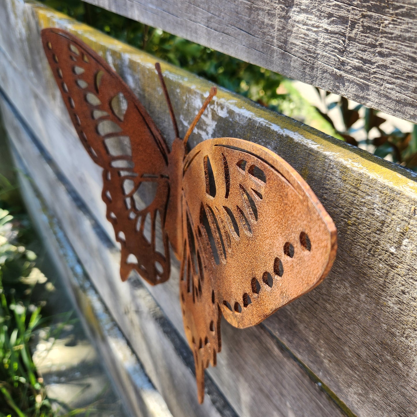 Large Butterfly - type A