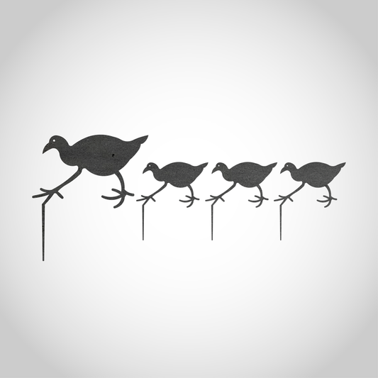 Pukeko