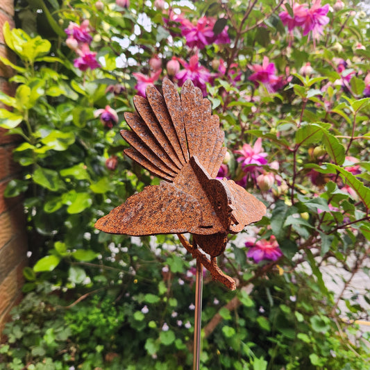 Fantail