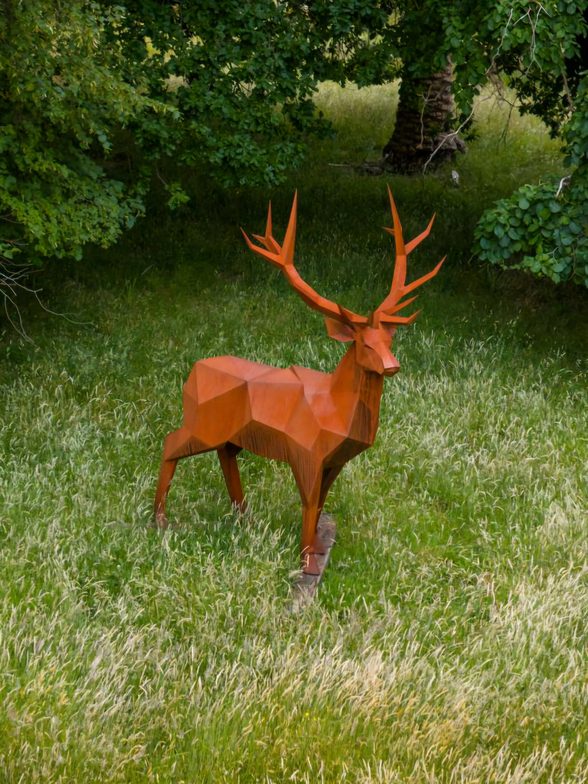 Collections – Goat Point LTD