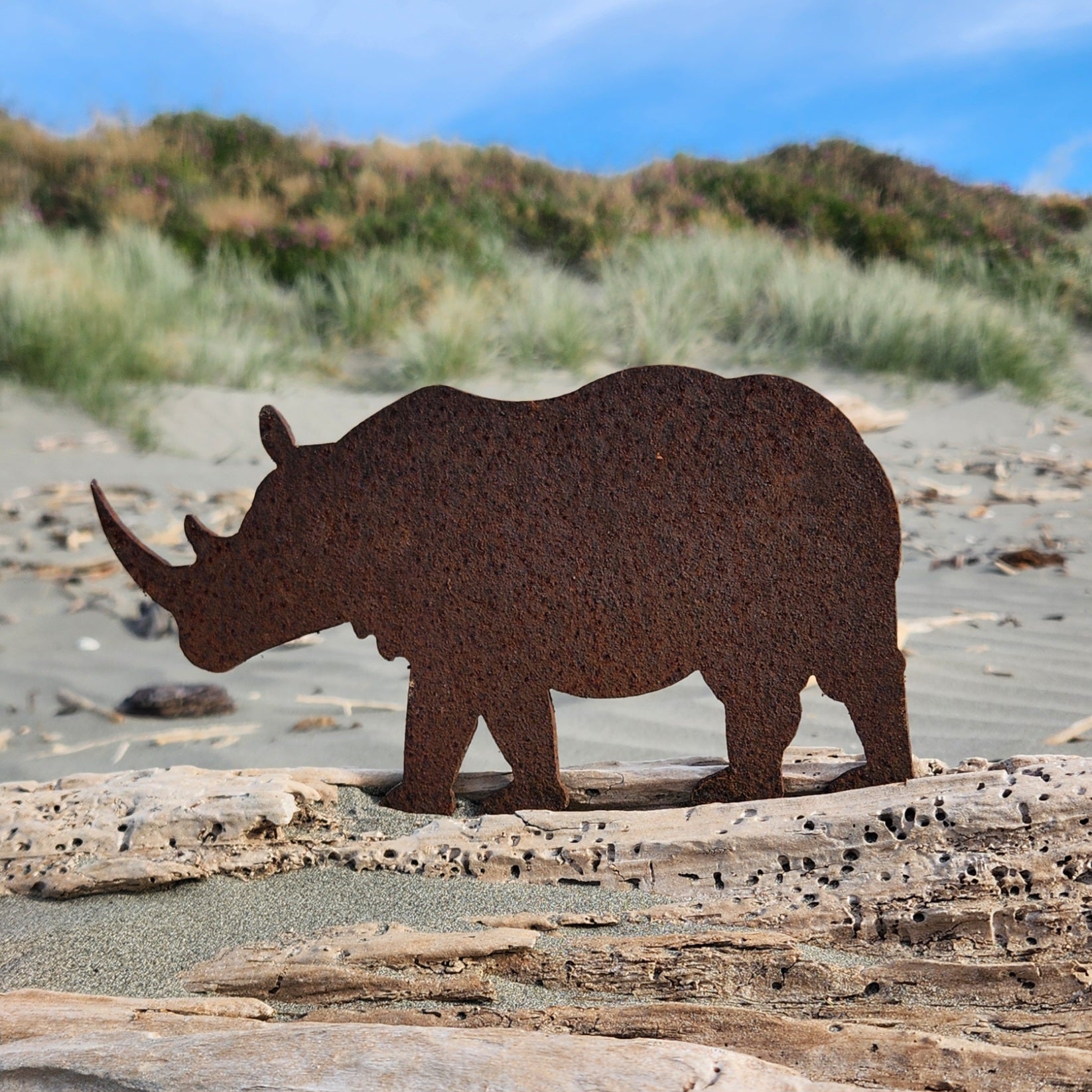 Rhino – Goat Point LTD