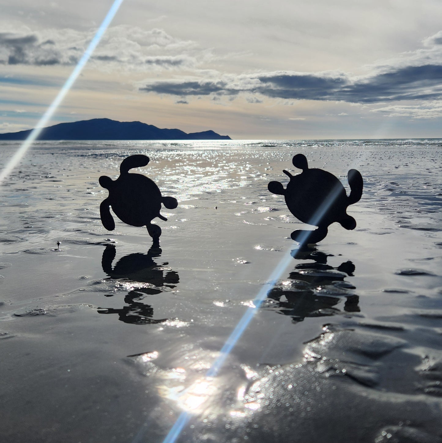 Turtle Family - Seconds