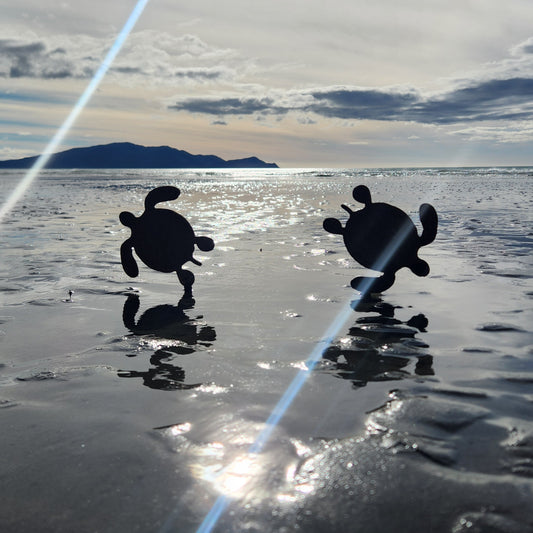 Turtle Family - Seconds