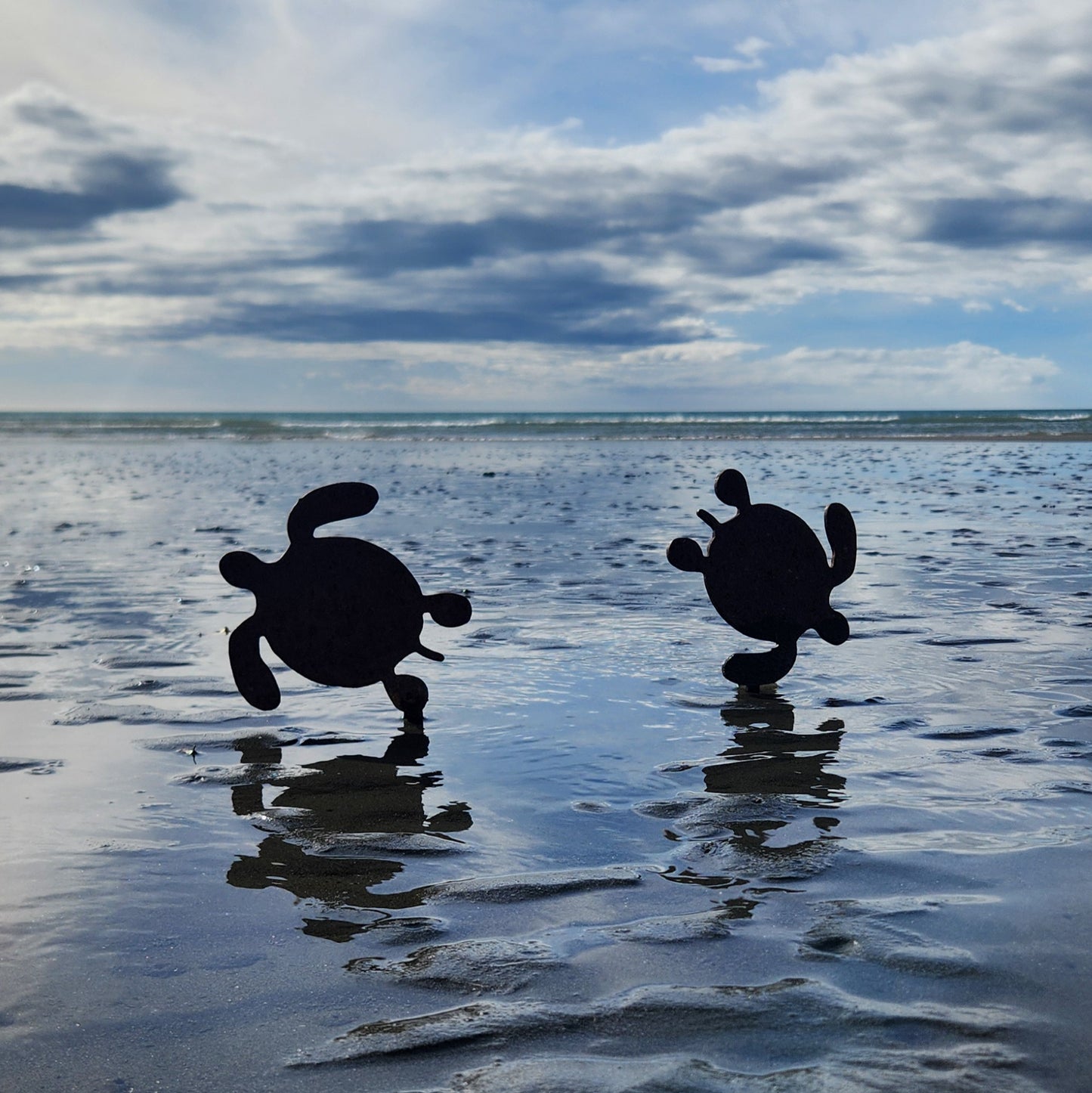 Turtle Family