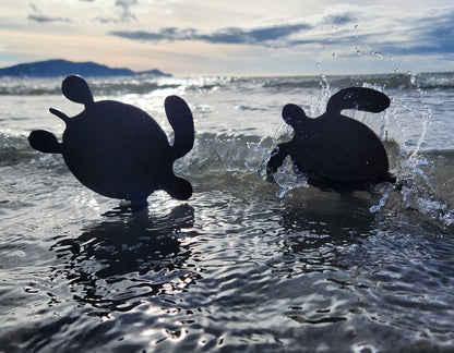 Turtle Family - Seconds