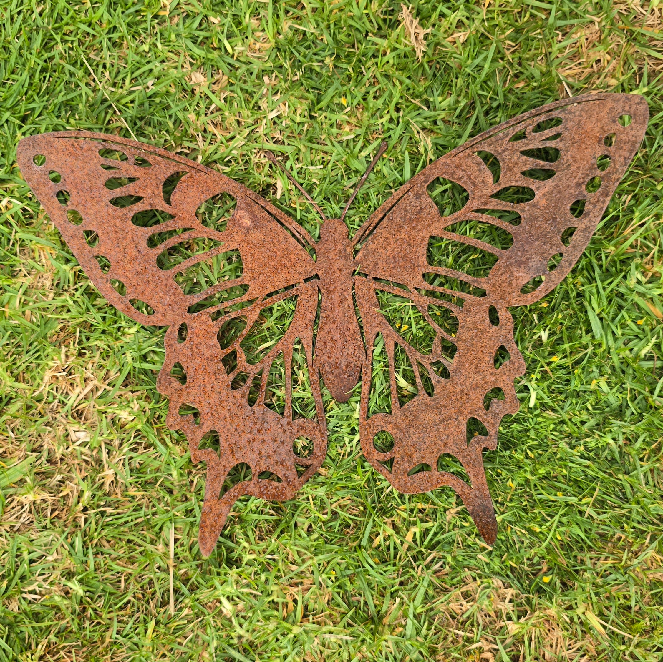 Large Butterfly - type A – Goat Point LTD