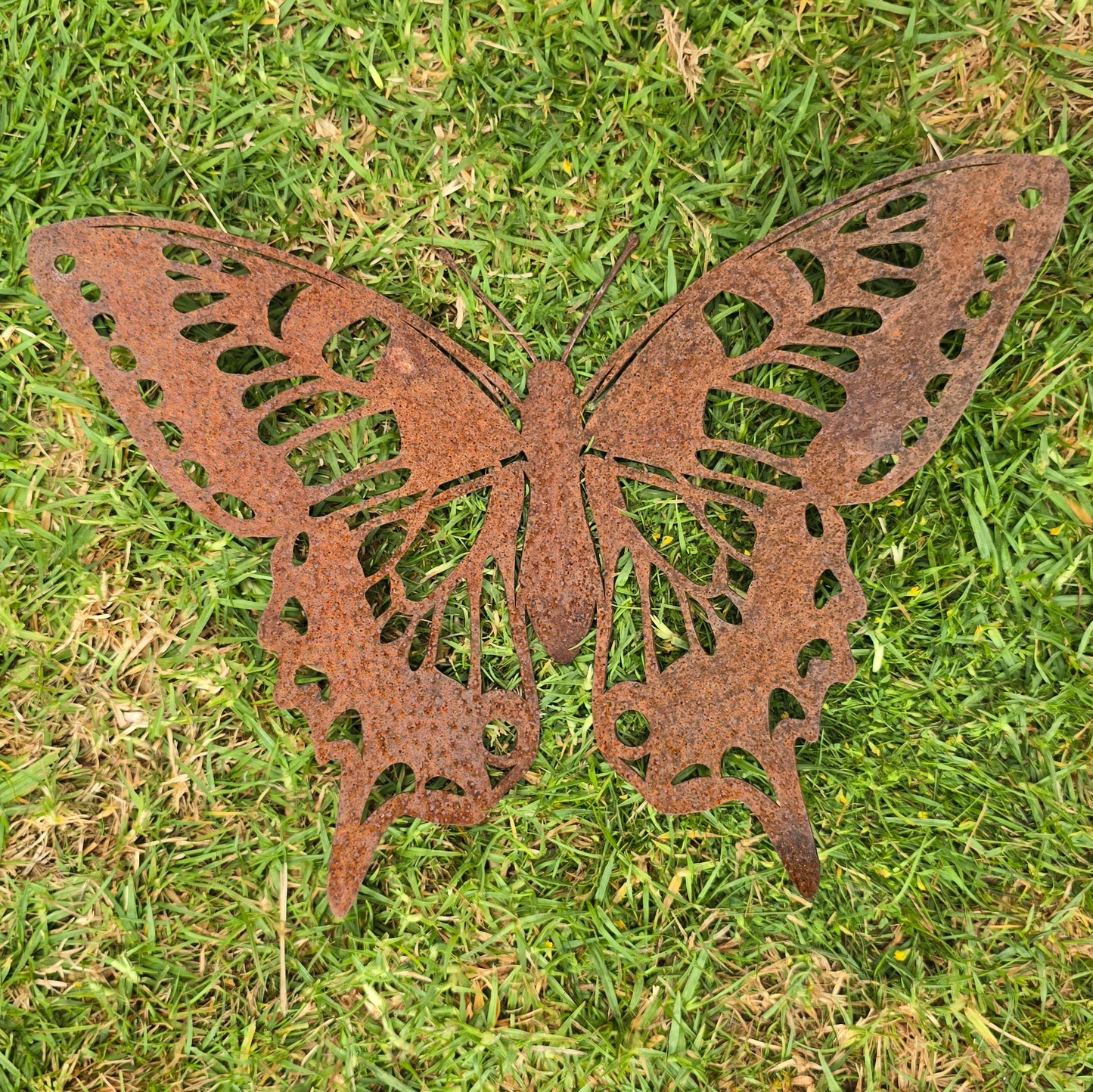 Large Butterfly - type A