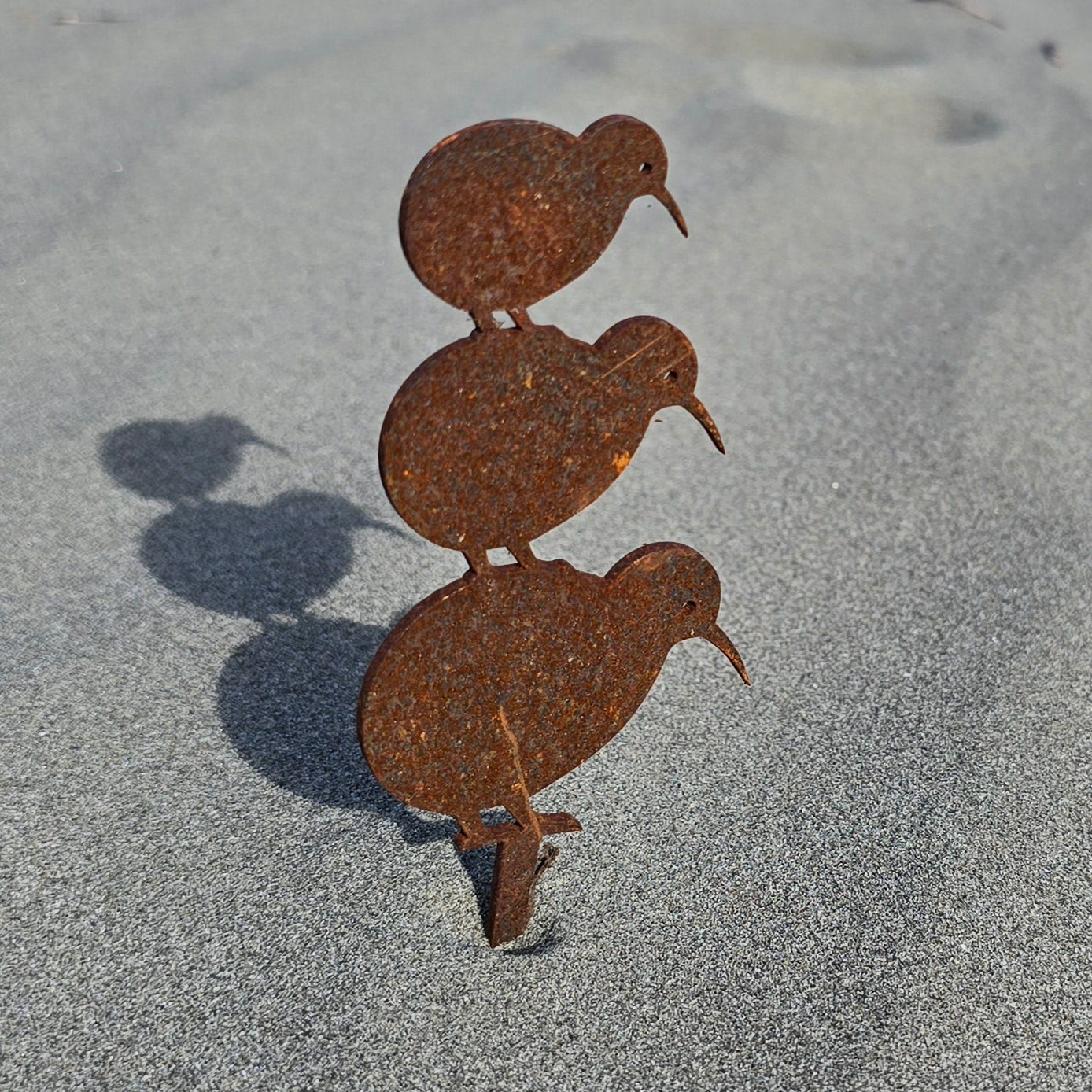 Kiwis -(Mini) - Seconds