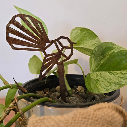 Fantail (Mini) - Seconds