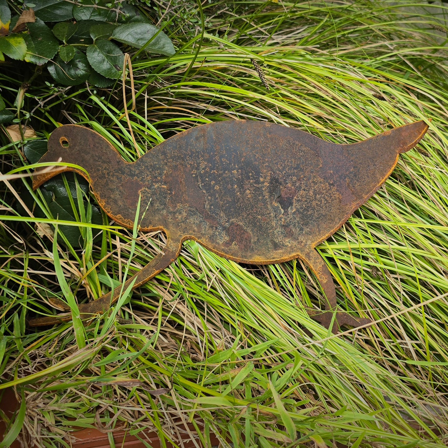 Pukeko (Large) - Seconds